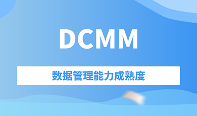 數(shù)據(jù)管理能力成熟度評(píng)估(DCMM)服務(wù)